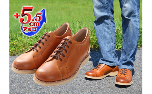 yޗǌaSRsz{v L Sd Ch U[JWA Y  T.TcmAbv V[NbgXj[J[ No.516 L 26.5cm [5990-7899]0319