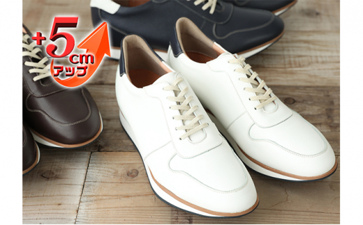 yޗǌaSRszU[Xj[J[ {v JWAV[Y 5cmAbv V[NbgXj[J[ No.801 zCg 26.5cm [5990-7812]0306