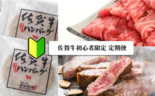 yꌧg샖zyꋍv6ցzꋍ̏SҌ [FAZ045]