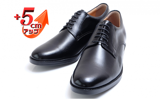 yޗǌaSRszrWlXV[Y {v vC amC OHv[ 5cmAbv V[NbgV[Y Ch No.1693 ubN 25.0cm [5990-8280]0372