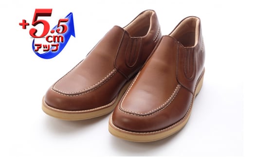 yޗǌaSRszTChSA {v L 4E Ch JWAV[Y Xb| Y@No.523@`R 24.0cm [5990-7628]0274