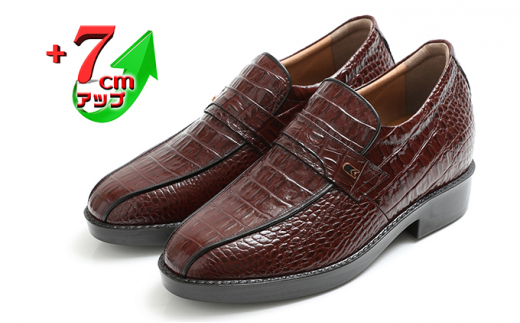 yޗǌaSRszrWlXV[Y {v vC amC vNRX[J 7cmAbv V[NbgV[Y No.236 uE  23.5cm [5990-8075]0343