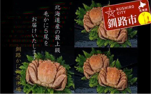 ykCHszyl䥂ŁIz{CуKj2.0kg l߁iⓀj5 ӂ邳Ɣ[ I F4F-5342