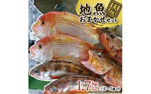 【山形県遊佐町】511　地魚おまかせセット　4〜5種類入り計1、7kg以上