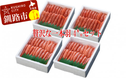 ykCHszyɏ1{!!ؐHהׁz炱1.0kgi1{j×2Eq1.0kgi1{j×2 ӂ邳Ɣ[  F4F-0504