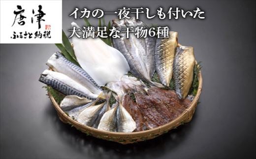 (唐津産) イカの一夜干しも付いた干物6種 やりいか一夜干し アジ