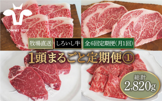 【牧場直送】【6回定期便】佐賀県産しろいし牛 1頭まるごと定期便【有限会社佐賀セントラル牧場】 [IAH032]