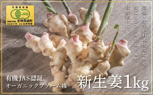 04 有機jas 新生姜1kg ジンジャーエールや甘酢漬けに 宮崎県綾町 ふるさと納税 ふるさとチョイス 04 有機jas 新生姜1kg ジンジャーエールや甘酢漬けに 宮崎県綾町 ふるさと納税 ふるさとチョイス