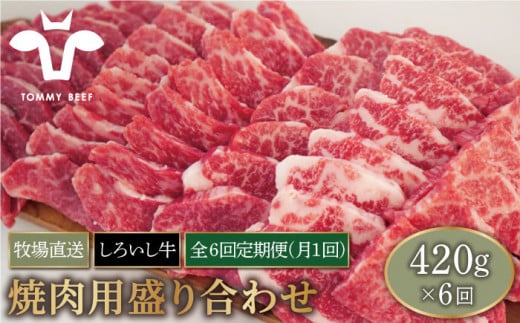 牧場直送】【6回定期便】佐賀県産しろいし牛 焼肉用 盛り合わせ セット