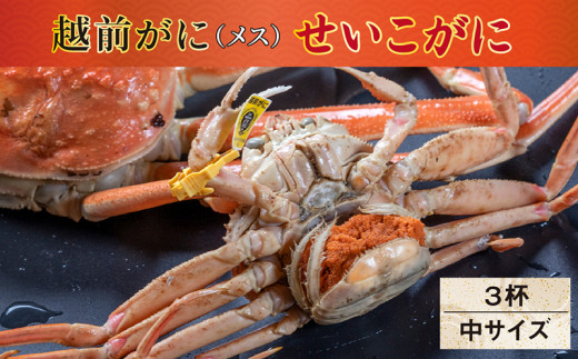 サンプル写真