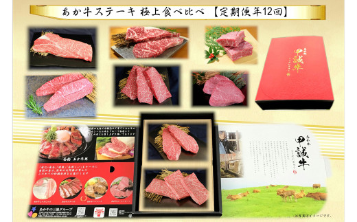 定期便 年12回あか牛 ステーキ 極上食べ比べ お肉 おにく 赤牛 毎月 - 熊本県八代市｜ふるさとチョイス - ふるさと納税サイト