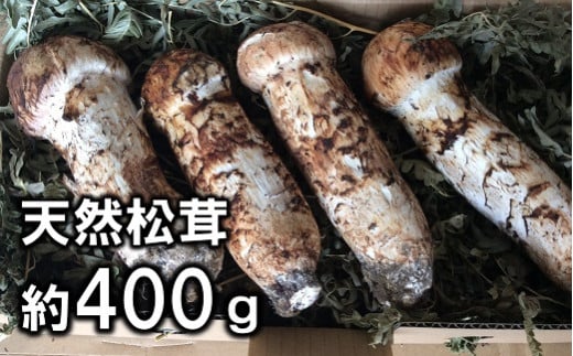 岩手県宮古市産松茸400g-