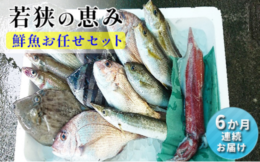 y䌧ዷzNZbg  6 ዷ̌b N{bNX ނ͂C   Zbg lߍ킹   CN CNZbg 6 N y  䌧 ዷ [5580-0398]