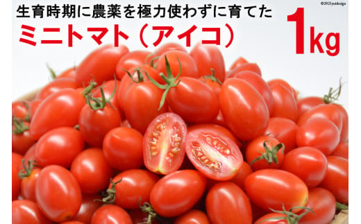 ミニトマト アイコ 1ｋg 生育時期に農薬を極力使わずに育てました ながさき南部生産組合 長崎県南島原市 長崎県南島原市 ふるさと納税 ふるさとチョイス