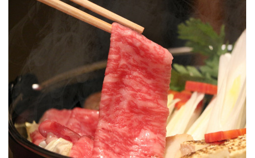 ふるさと納税 しゃぶしゃぶ飛騨牛霜降りロース1ｋｇ 岐阜県富加町 23002A5飛騨牛ロースステーキ用400ｇ（200ｇ×2枚） - 岐阜県富加町