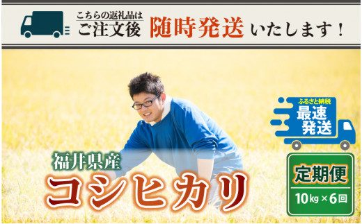 【令和4年産】【6ヶ月連続お届け】二代目が笑顔で育てた