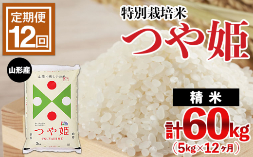 定期便12回】山形産 特別栽培米 つや姫 5kg×12ヶ月(計60kg) FZ21-330