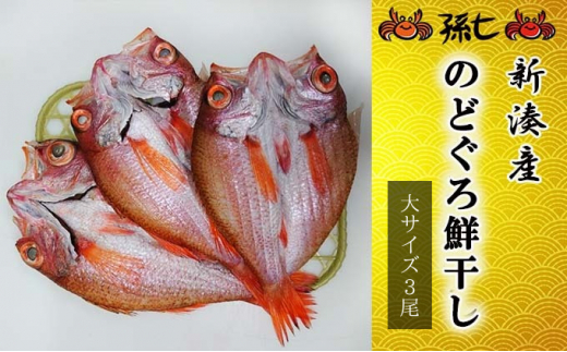 №5683-0494]【新湊産】のどぐろ鮮干し（大サイズ3尾） - 富山県射水市