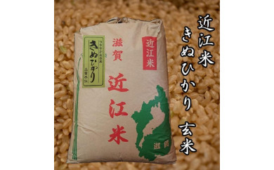 【滋賀県竜王町】令和3年産新米　近江米きぬひかり30kg【玄米】　米粉200g付き