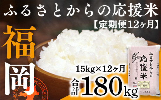 TY032 定期便12ヶ月 家庭応援米 訳あり 15kg 最新年度をお届け 精米