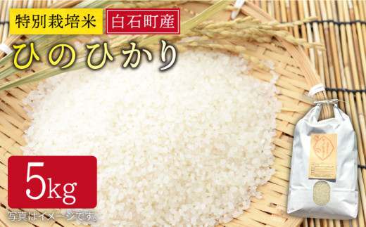 白石町返礼品限定】【全6回定期便】やましょう もつ鍋セット（醤油味