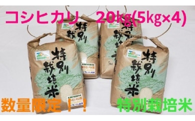 【茨城県美浦村】令和3年産 コシヒカリ20kg（5kg×4）特別栽培米『おかだいらの恵』