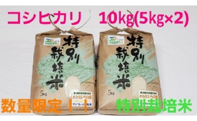 ふるさと納税 美浦村 茨城県産コシヒカリ 特別栽培米おかだいらの恵