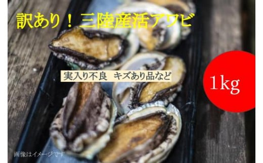 訳あり※ 三陸産 活アワビ 約1kg ( 6～10個)【数量限定】｜11月～12月発送 冷蔵 三陸 岩手県 大槌町 あわび 人気 鮑 いわて  iwate 2024 魚貝 鮮度抜群【配送日・曜日指定不可】 - 岩手県大槌町｜ふるさとチョイス - ふるさと納税サイト