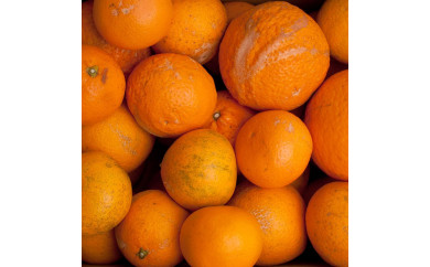 【和歌山県日高町】＜2月より発送＞家庭用きよみオレンジ3.5kg+105g　【光センサー選果】【樹上完熟清見オレンジ・清見タンゴール・清美】【訳あり・わけあり】