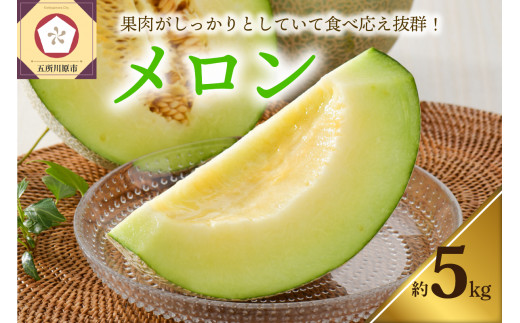 熊本県産 アンデスメロン 3-4玉 約5kg 良品 - フルーツ