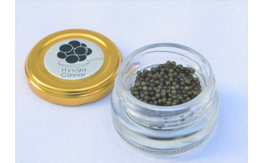 【宮崎県日向市】日向キャビア(Hyuga Caviar) 20g【箱なし】(冷凍・フレッシュキャビア) [20-31]