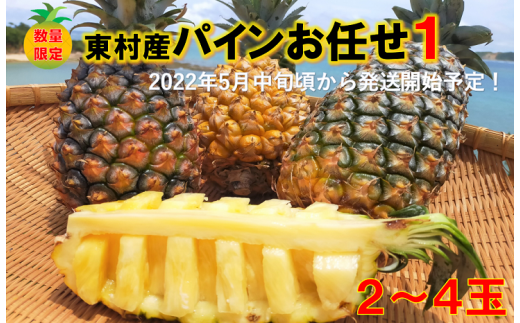 22年発送 東村産パインアップルお任せセット１ 2 4個 沖縄県東村 ふるさと納税 ふるさとチョイス