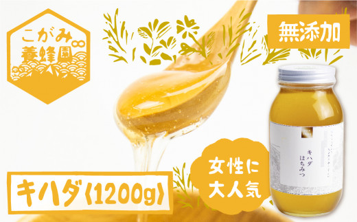 蜂蜜1200g１本 500g1本 生蜂蜜 完熟はちみつ 非加熱 国産蜂蜜 - その他