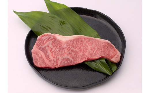 サンプル写真