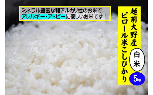 米 5kgの通販 価格比較 価格 Com