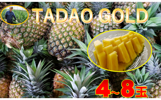 【沖縄県東村】【匠の味！】TADAO GOLD  4〜８玉（約9kg）