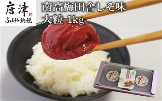 唐津七山 南高梅大粒しそ味 500g×2(合計1kg)「irodoriからつ四季の返礼品」山間から湧き出る澄んだ水をふんだんに含んだ土壌で栽培  「2023年 令和5年」