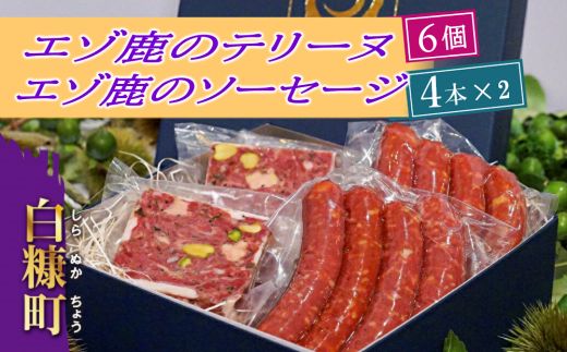 サンプル写真