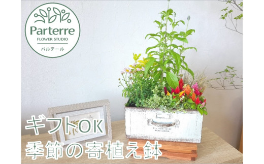 お花で想いをお届け 花屋が贈る季節の寄せ植え鉢 岩手県北上市 ふるさと納税 ふるさとチョイス