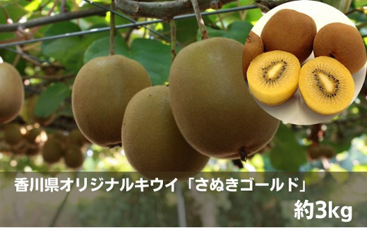y쌧ωsz쌧IWiLECuʂS[hv3kg ʕl t[c ʕ l Zbg