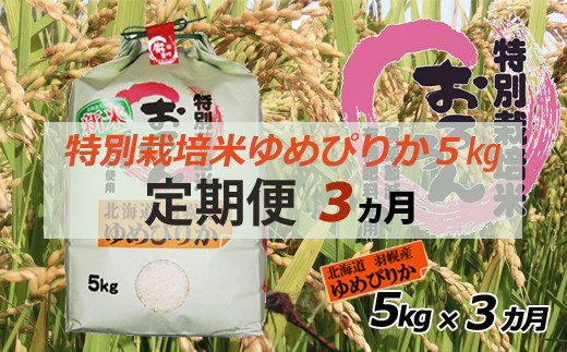 サンプル写真