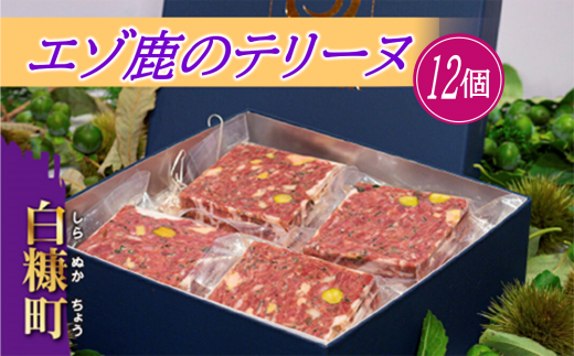 サンプル写真