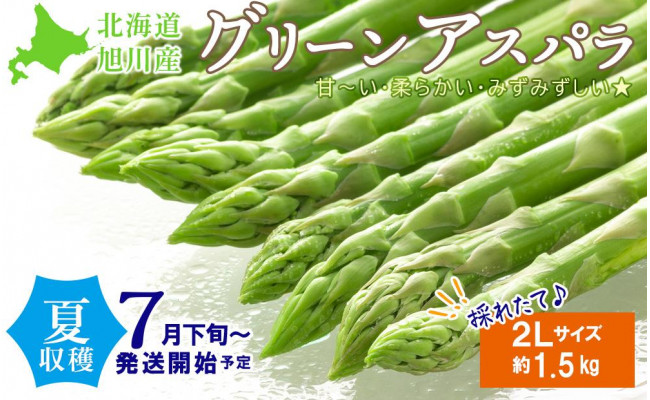 1350円 【2021春夏新色】 北海道 野菜 アスパラガス グリーンアスパラ900g L 2L