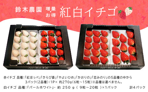 １０６０ 掛川産 赤 白イチゴ ４p 赤イチゴ ３p 白イチゴ １p 令和４年３月２５日から順次発送 鈴木農園 静岡 イチゴ 苺 いちご 静岡県掛川市 ふるさと納税 ふるさとチョイス