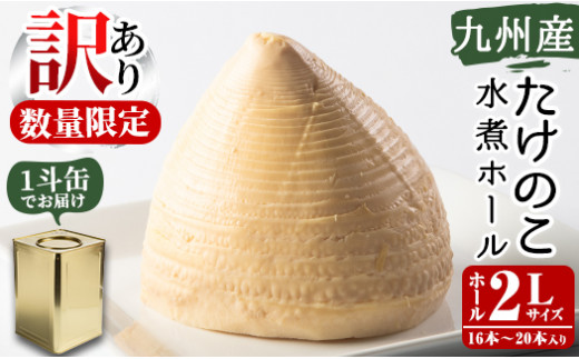訳あり・業務用＞数量限定！1斗缶たけのこ水煮ホール2L(16本～20