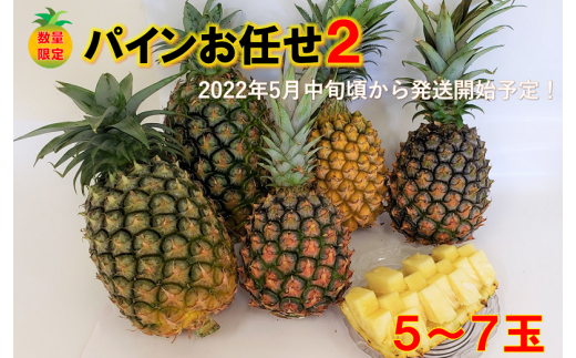 22年発送 東村産パインアップルお任せセット２ 5 7個 沖縄県東村 ふるさと納税 ふるさとチョイス