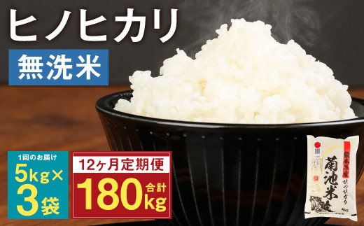 12ヶ月定期便】熊本県菊池産 ヒノヒカリ 5kg×12回 計60kg 精米 お米