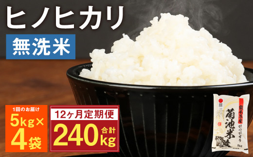 【定期便12ヶ月】熊本県菊池産 ヒノヒカリ 無洗米 計240kg（5kg×4