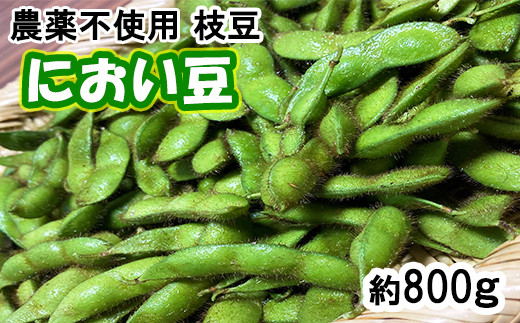 農薬不使用！におい豆（枝豆）800g 【974】