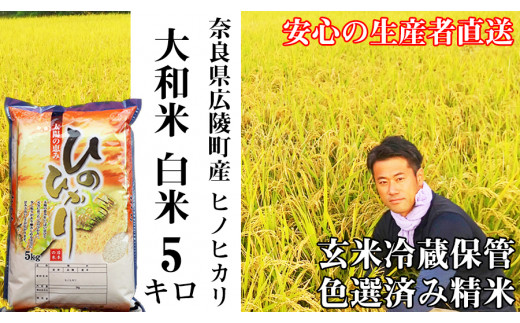 令和4年産　奈良県産ヒノヒカリ約10kg　白米　農家直送  低温